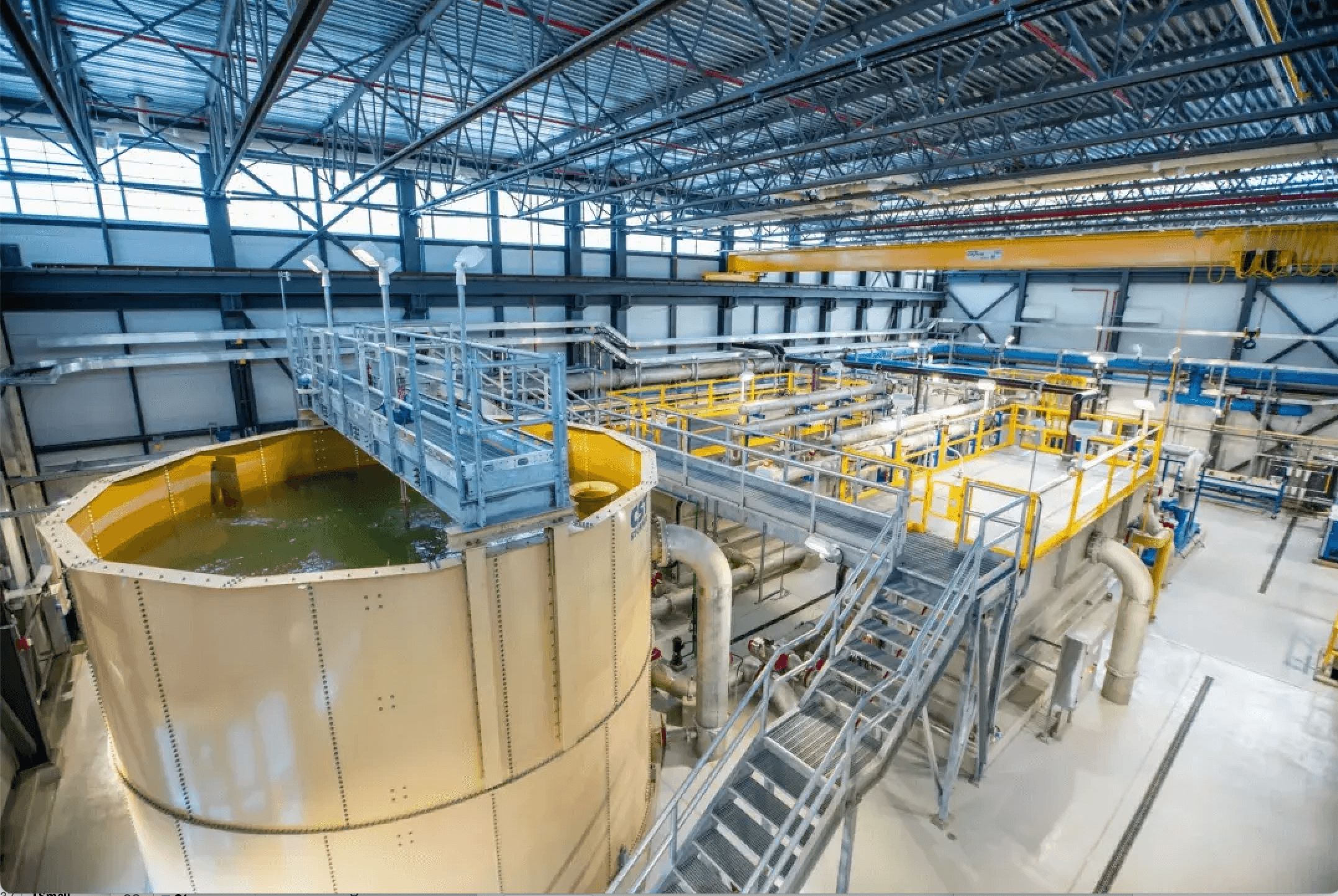 25% increased membrane permeability